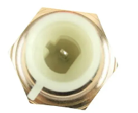 Iveco Coolant Temperature Sensor