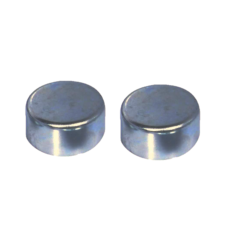EBS ECKH.7 REPAIR KIT CALIPER (CAPS)