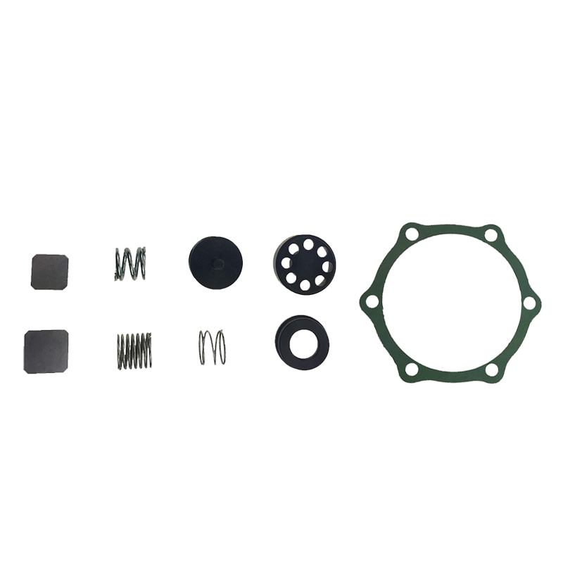 EBS EKPP.9 REPAIR KIT