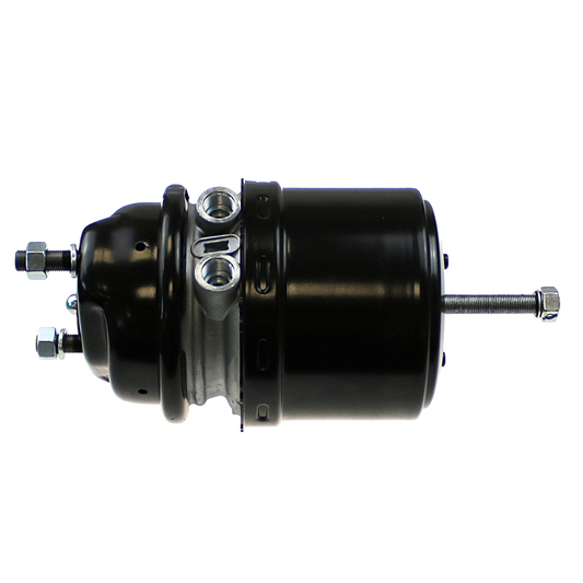 EBS 02.06.2024.419 SPRING BRAKE - DISC - TY20/24 ( BS9419 )