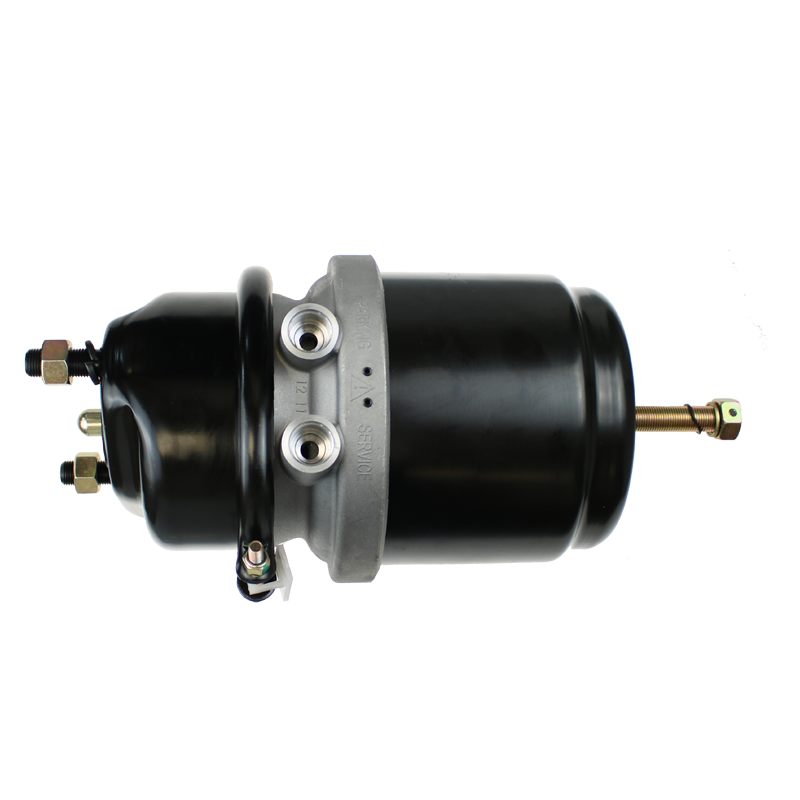 EBS 02.06.2024.481 SPRING BRAKE - DISC - HFL1 - TY20/24 ( BS9481 )