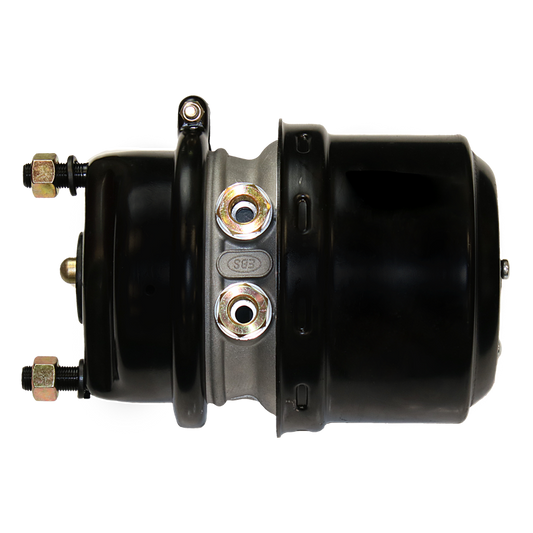 EBS 02.06.2024.917 SPRING BRAKE - DISC - TY20/24 ( BT5418 )