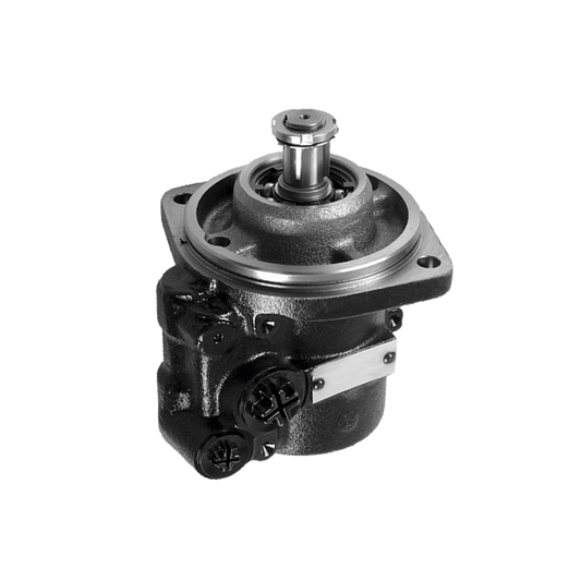EBS 20.01.1036 POWER STEERING PUMP ( 7674.955.232 )