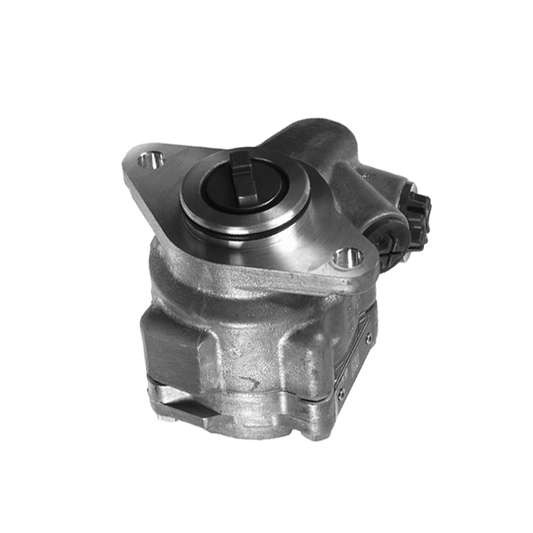 EBS 20.01.1127 POWER STEERING PUMP ( 8695.955.116 )
