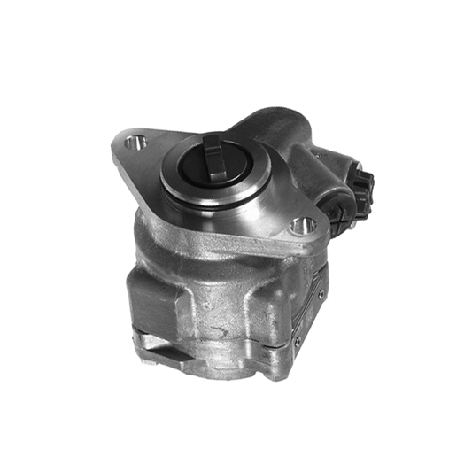 EBS 20.01.1129 POWER STEERING PUMP ( 7683.955.126 )