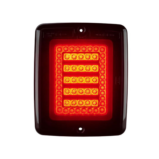 Ledson Breeze X1 Tail & Fog Rear LED Lamp