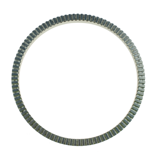 EBS 90.20.1002 EXCITER RING - BPW ( 03.310.08.15.0 )