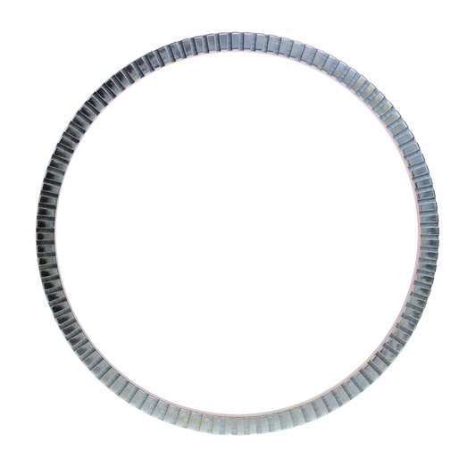 EBS 90.20.1003 EXCITER RING - BPW ( 03.310.08.14.0 )