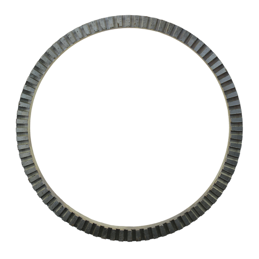 EBS 90.20.1008 EXCITER RING - BPW ( 03.310.08.18.0 )