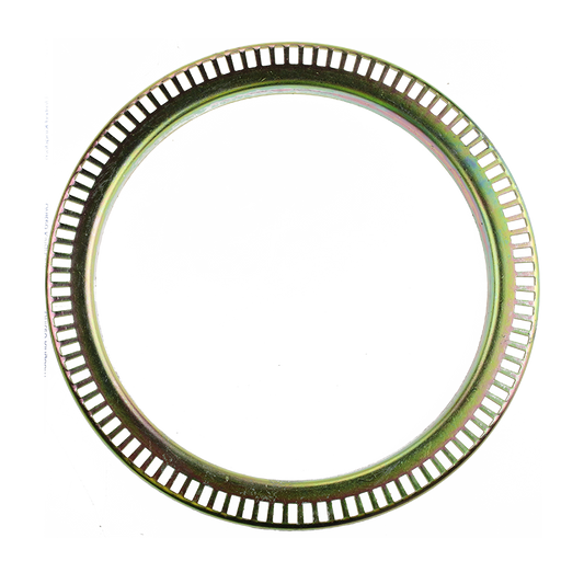 EBS 90.24.1000 EXCITER RING - SAF ( 4029100101 )