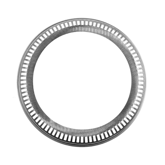EBS 90.24.1001 EXCITER RING - SAF ( 4029106300 )