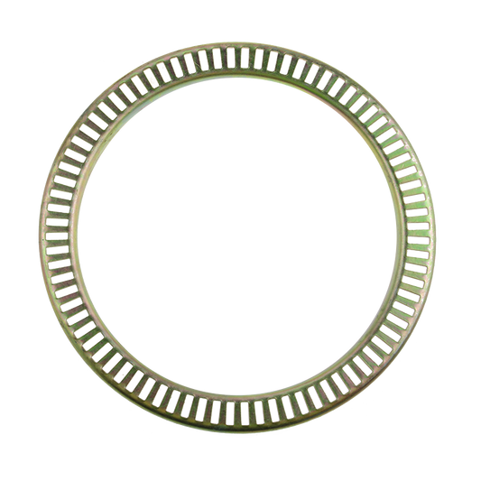 EBS 90.24.1002 EXCITER RING - SAF ( 4029106900 )