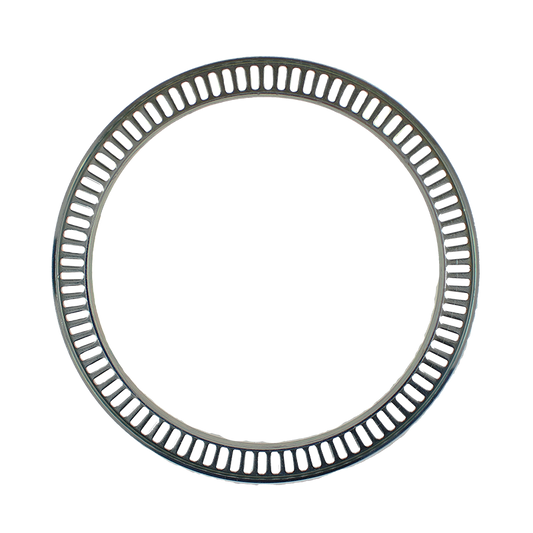 EBS 90.24.1003 EXCITER RING - SAF ( 4029107000 )