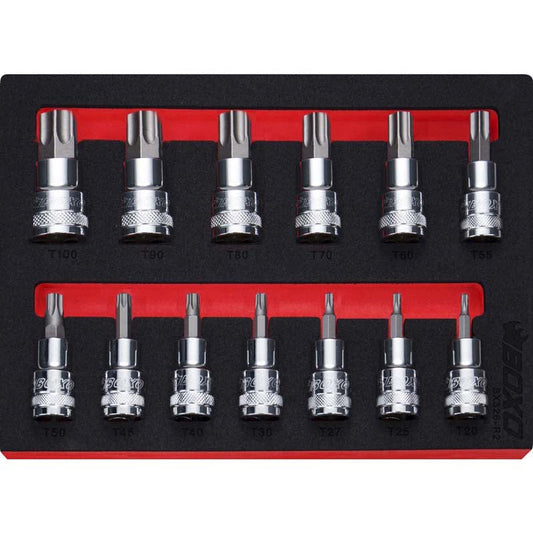 13 Pce 1/2" Torx Bit Socket Set-Boxo-Equipment