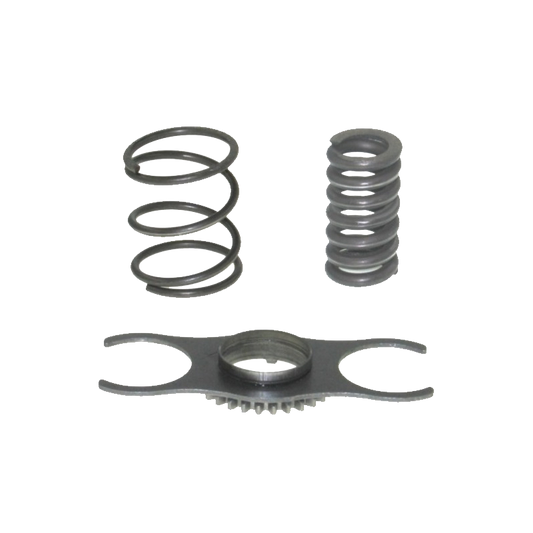 EBS ECKM.3.10 REPAIR KIT CALIPER (INTERMEDIATE GEAR & SPRING)