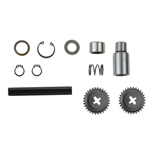 EBS ECKW.24.7 REPAIR KIT CALIPER ( LEVER GEAR &  BEARING )