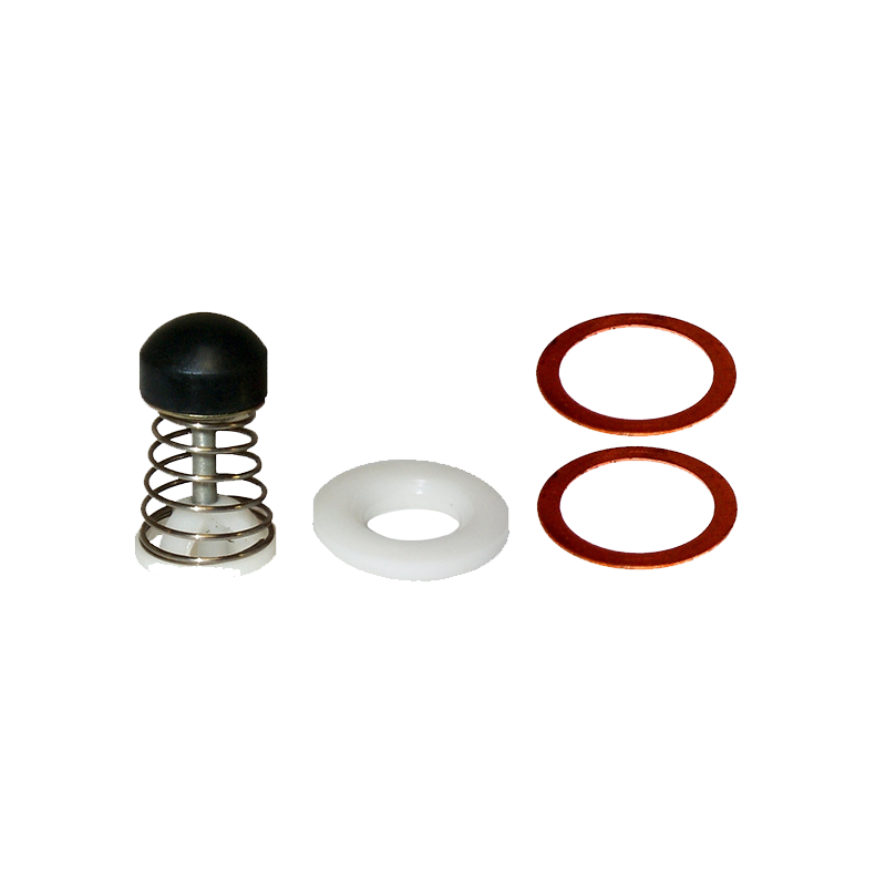 EBS EKBE.24 REPAIR KIT SINGLE CHECK VALVE
