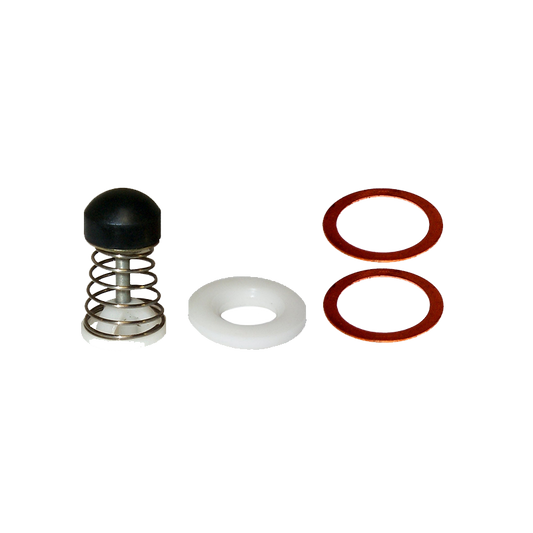 EBS EKBE.24 REPAIR KIT SINGLE CHECK VALVE