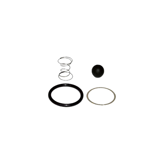 EBS EKBE.64.10 REPAIR KIT AIR DRYER (CHECK VALVE AD2)
