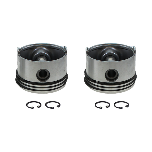 EBS EKKB.70.RP.010 REPAIR KIT COMPRESSOR ( PISTON & RINGS )