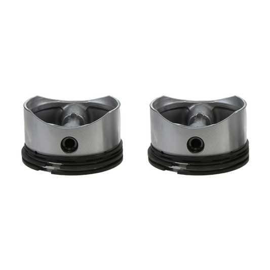 EBS EKMM.91.RP.010 REPAIR KIT PISTON & RINGS