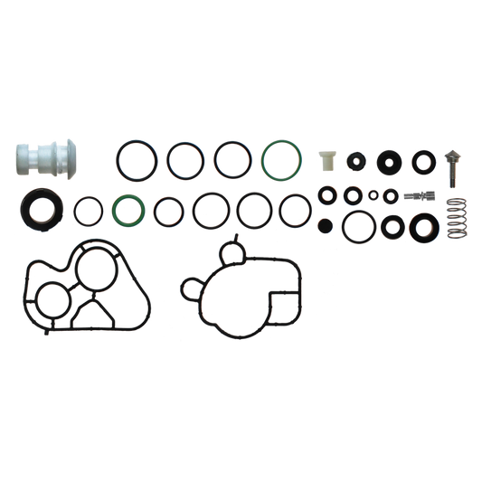 EBS EKPP.10023 REPAIR KIT SOLENOID VALVE ( SEAL & VALVES )