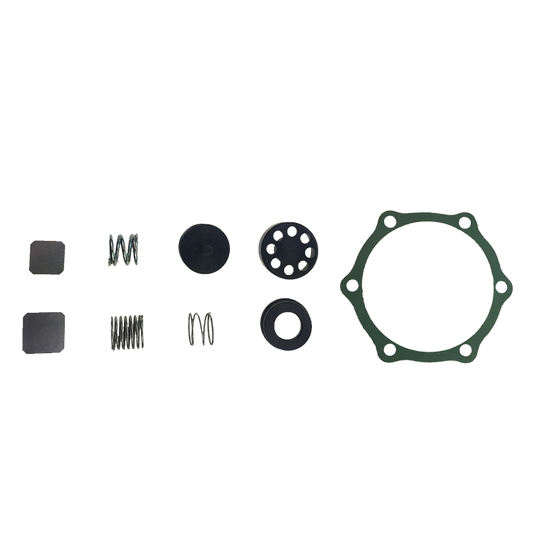 EBS EKPP.9 REPAIR KIT
