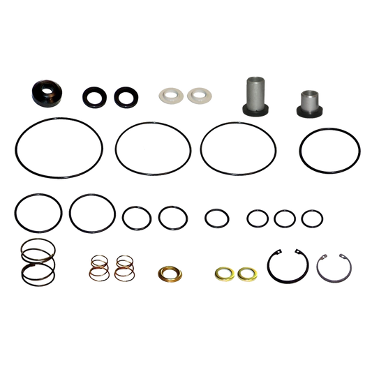 EBS EKWA.18.5 REPAIR KIT FOOT VALVE(VULCANIZED VALVES)