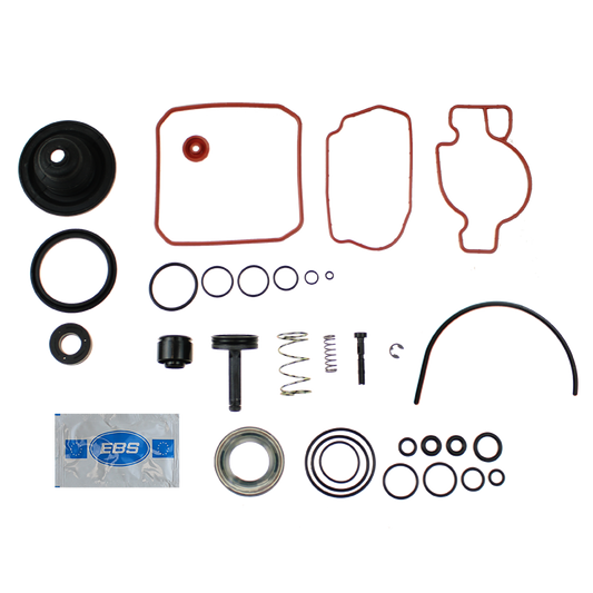 EBS EKWA.19.50 REPAIR KIT FOOT VALVE