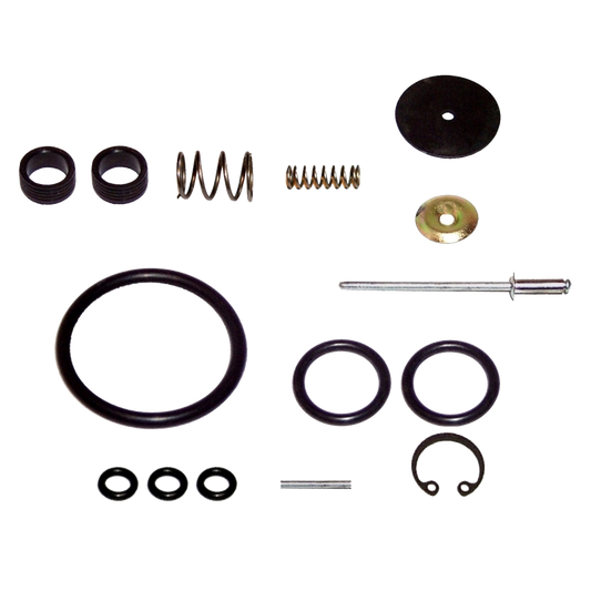 EBS EKWA.19.8 REPAIR KIT FOOT VALVE (RETARDER)