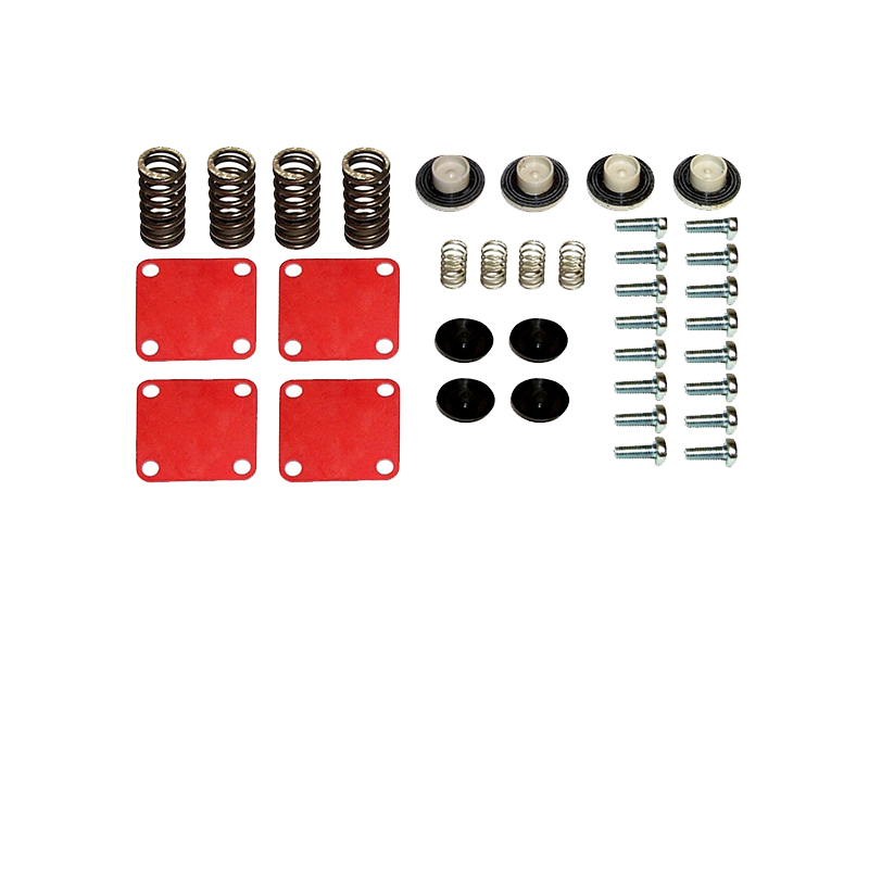 EBS EKWA.51.4 REPAIR KIT (FOUR CIRCUIT VALVE)