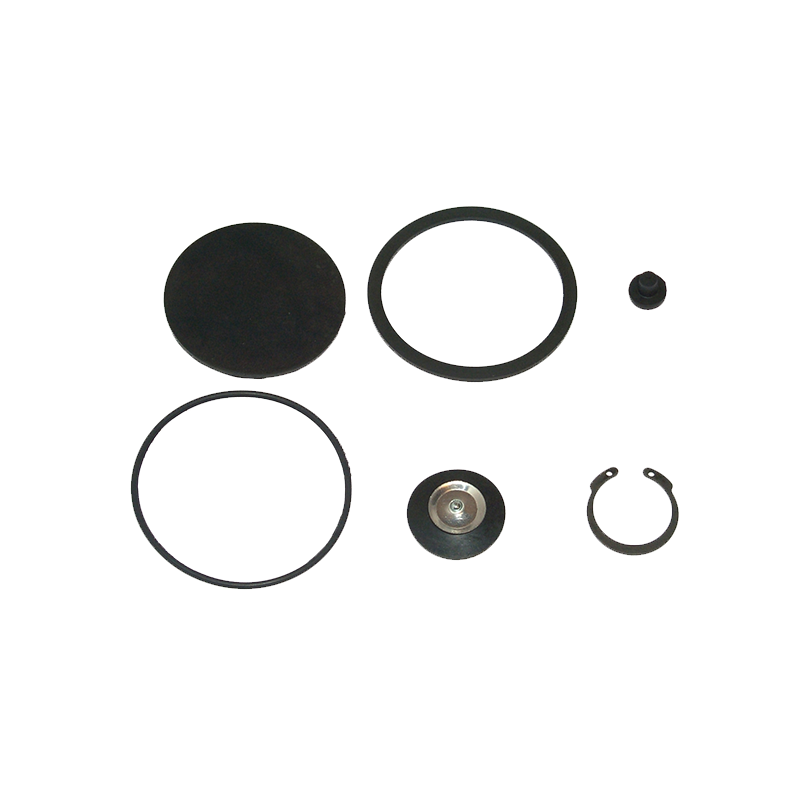 EBS EKWA.59.2 REPAIR KIT (QUICK RELEASE VALVE)