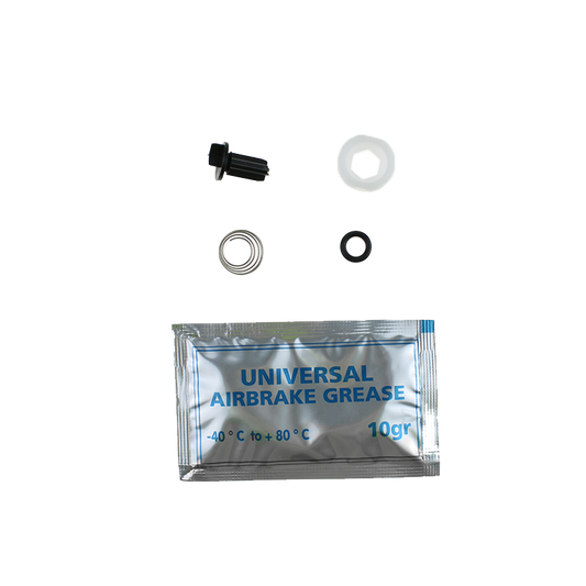 EBS EKWA.63.52 REPAIR KIT (AIR DRYER NON RETURN VALVE)