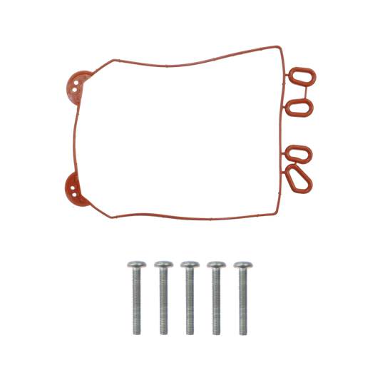 EBS EKWA.64.GS REPAIR KIT (ECU GASKET & SCREWS)