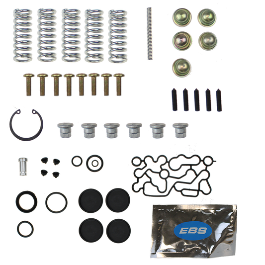 EBS EKWA.81 REPAIR KIT (  MULTI CIRCUIT PROTECTION VALVE )