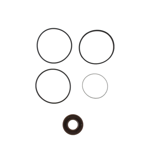 EBS EKZF.1 SEAL KIT (7673955225)