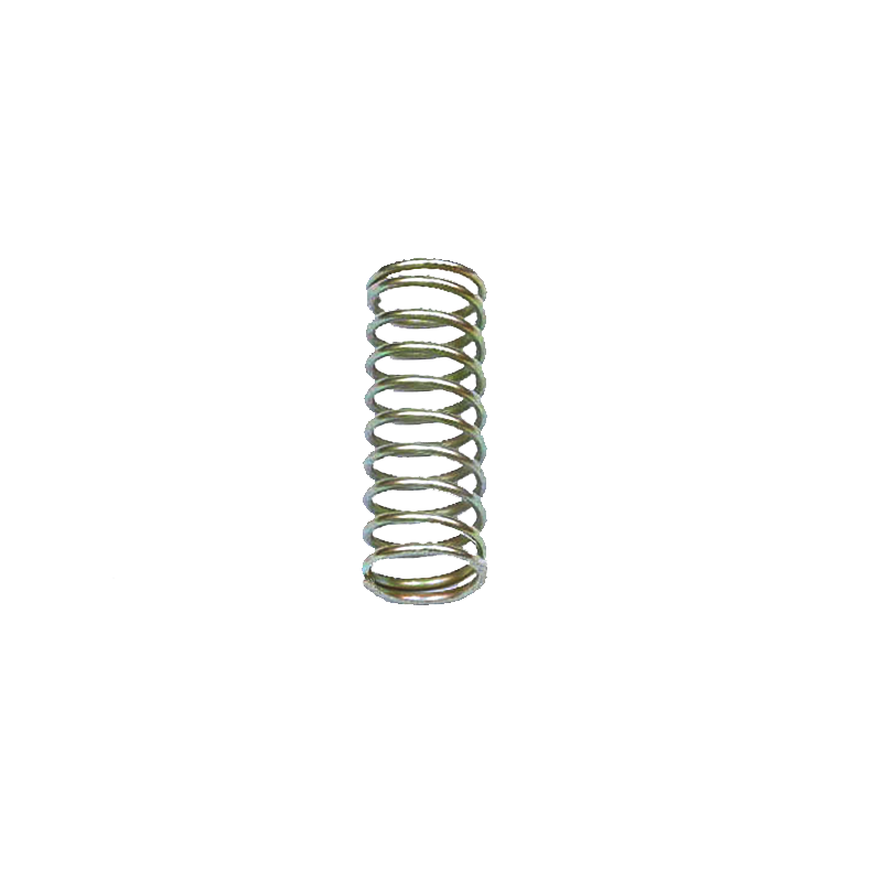 EBS N6018S SHUNT VALVE SPRING