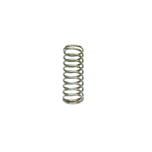 EBS N6018S SHUNT VALVE SPRING