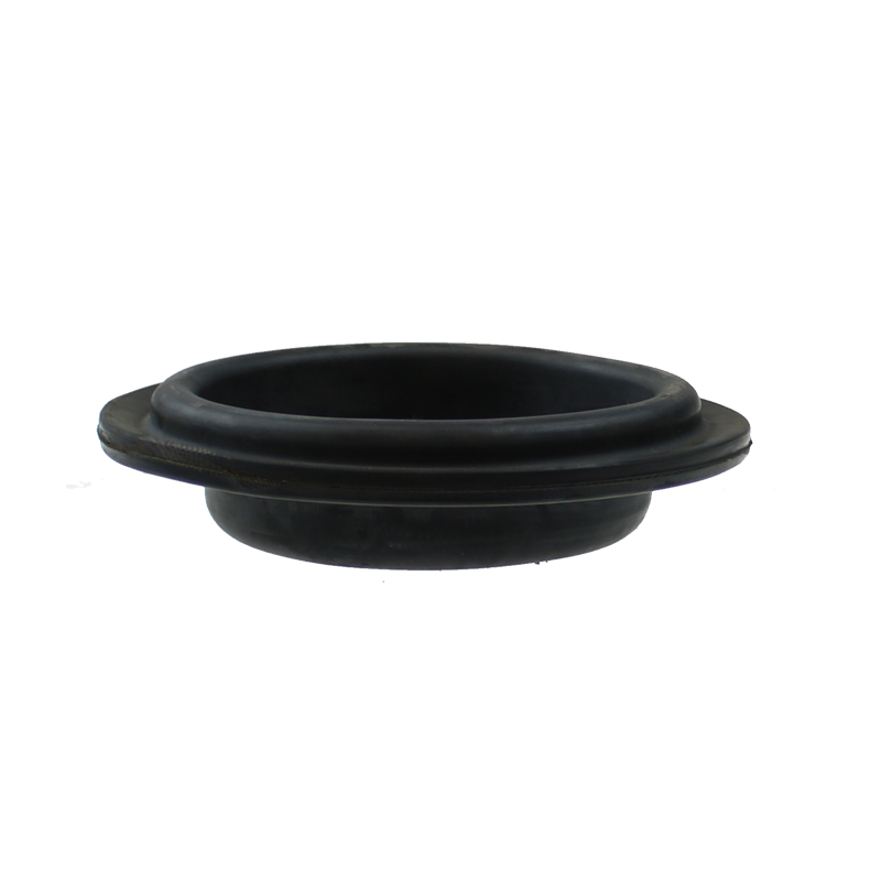EBS T20RD TY20 ROLLING DIAPHRAGM